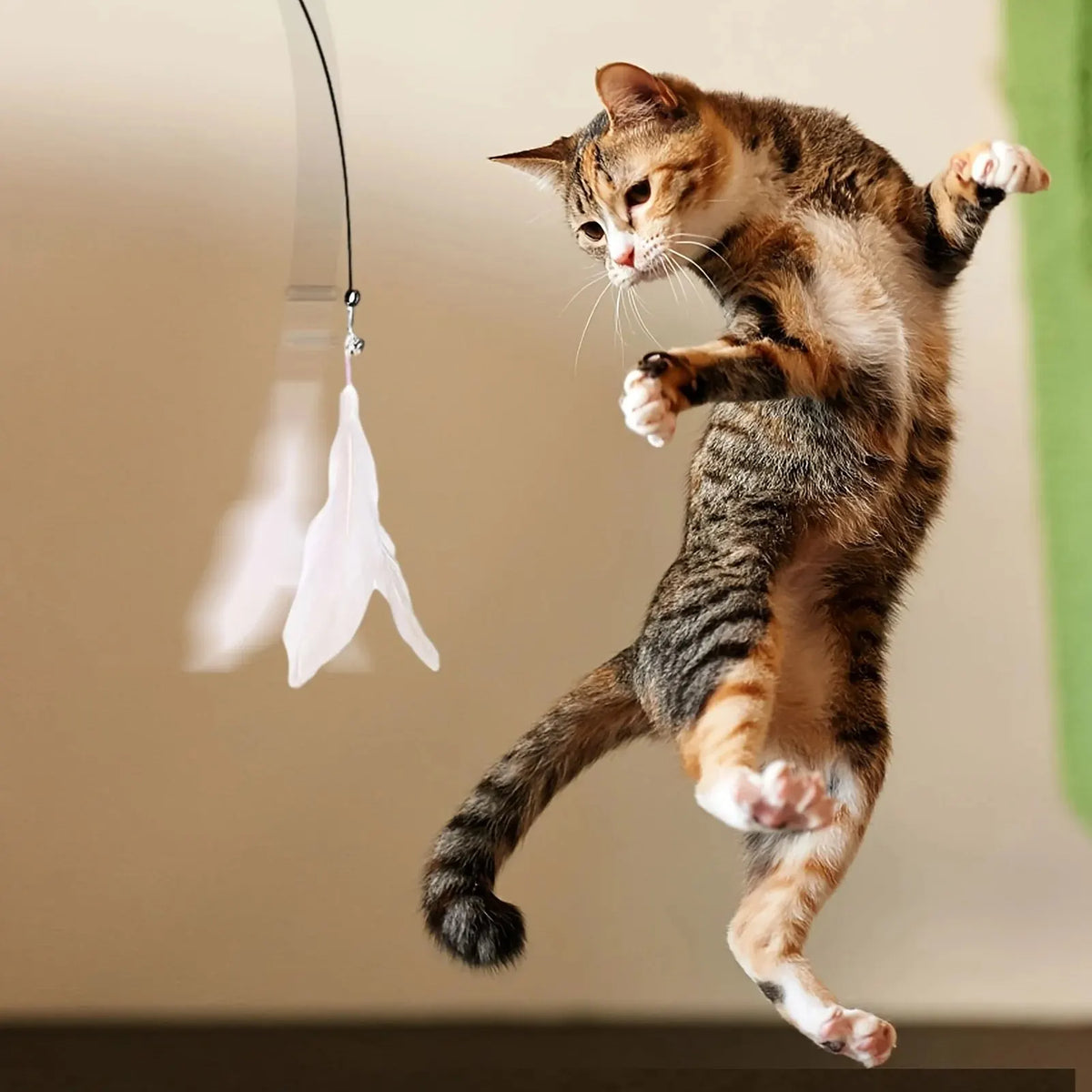 Cat Teaser Wand — Feather & Bell, Suction Cup Pole — product image 6